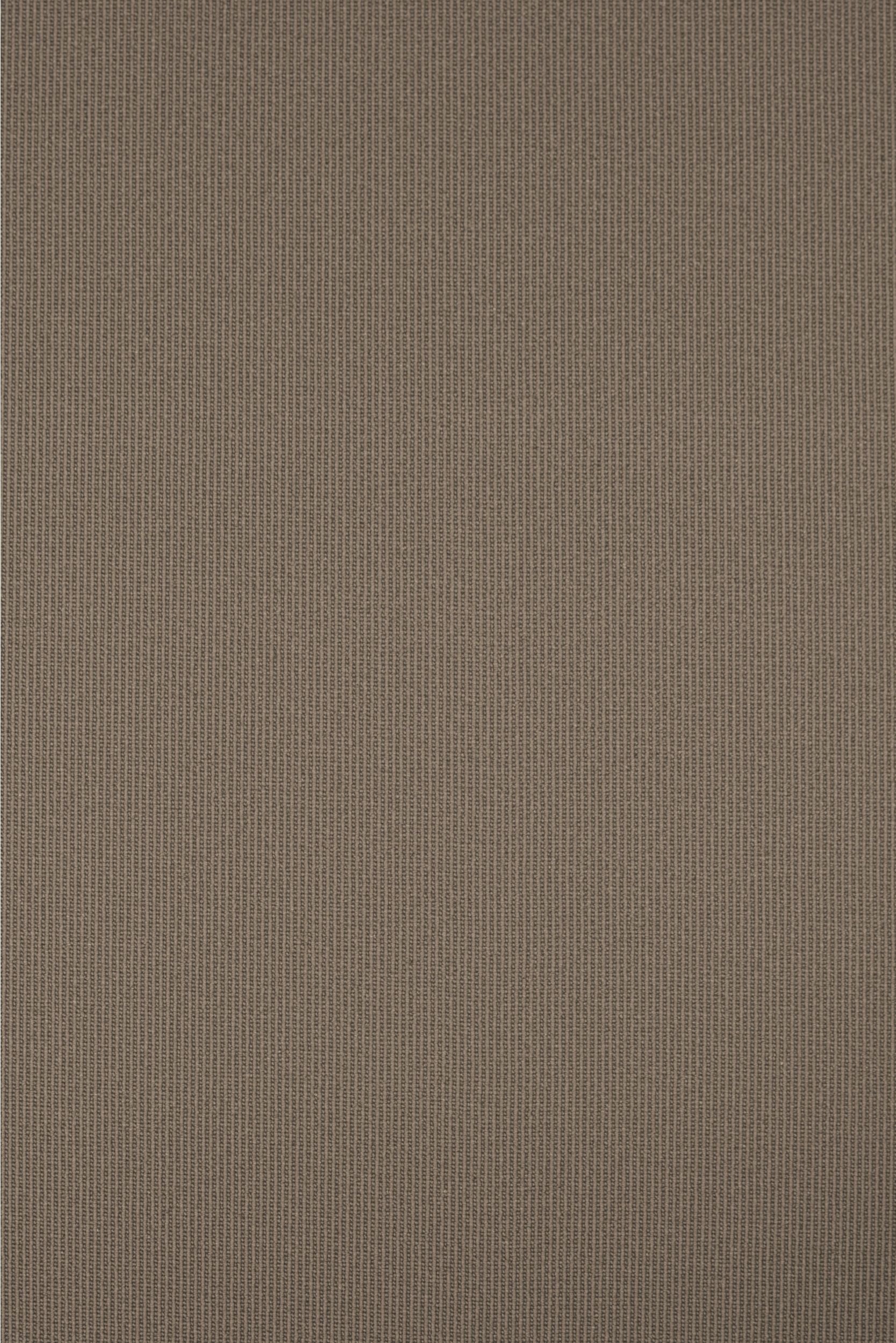 #color_Fossil