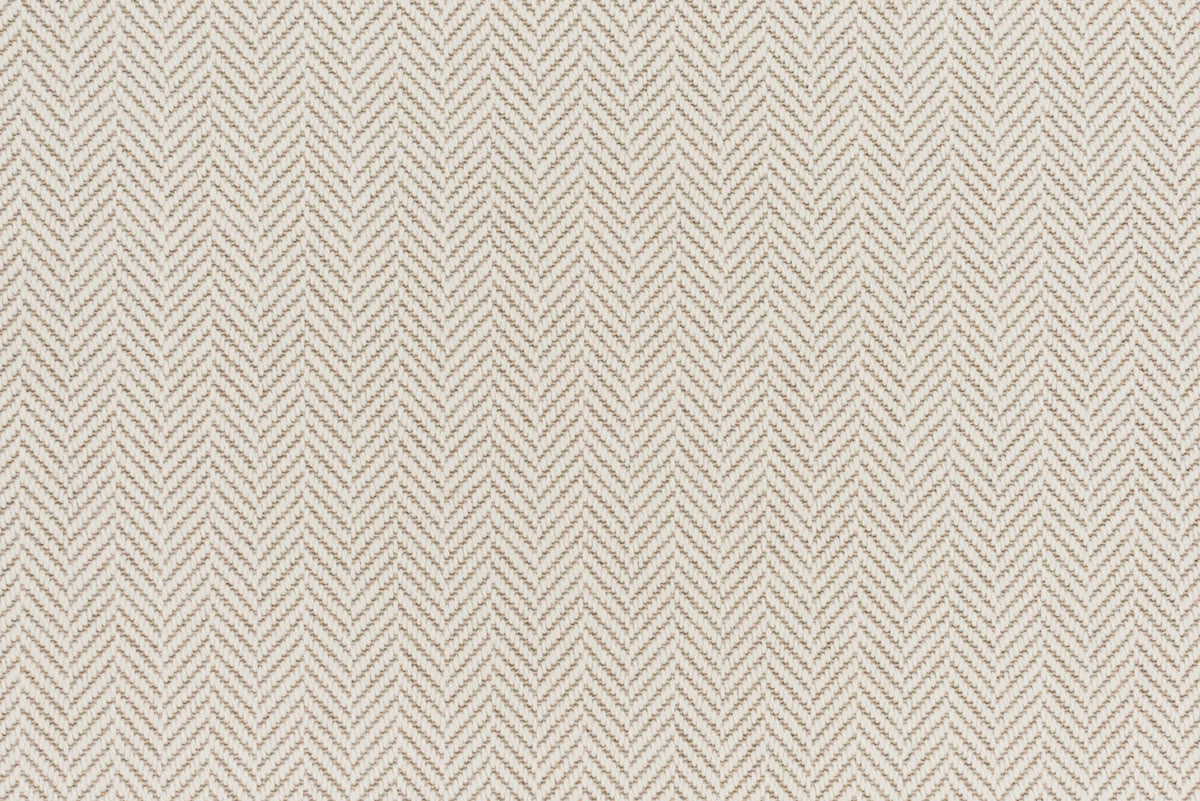 #color_Cream