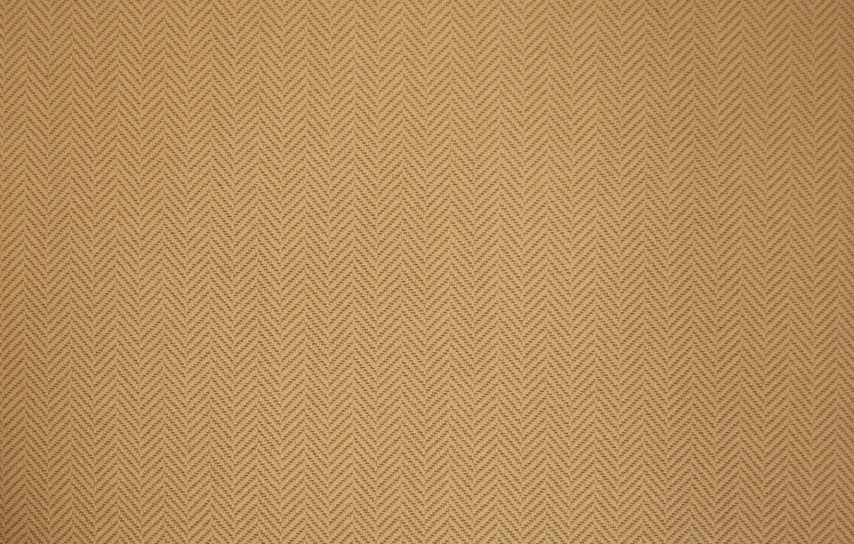#color_Tan