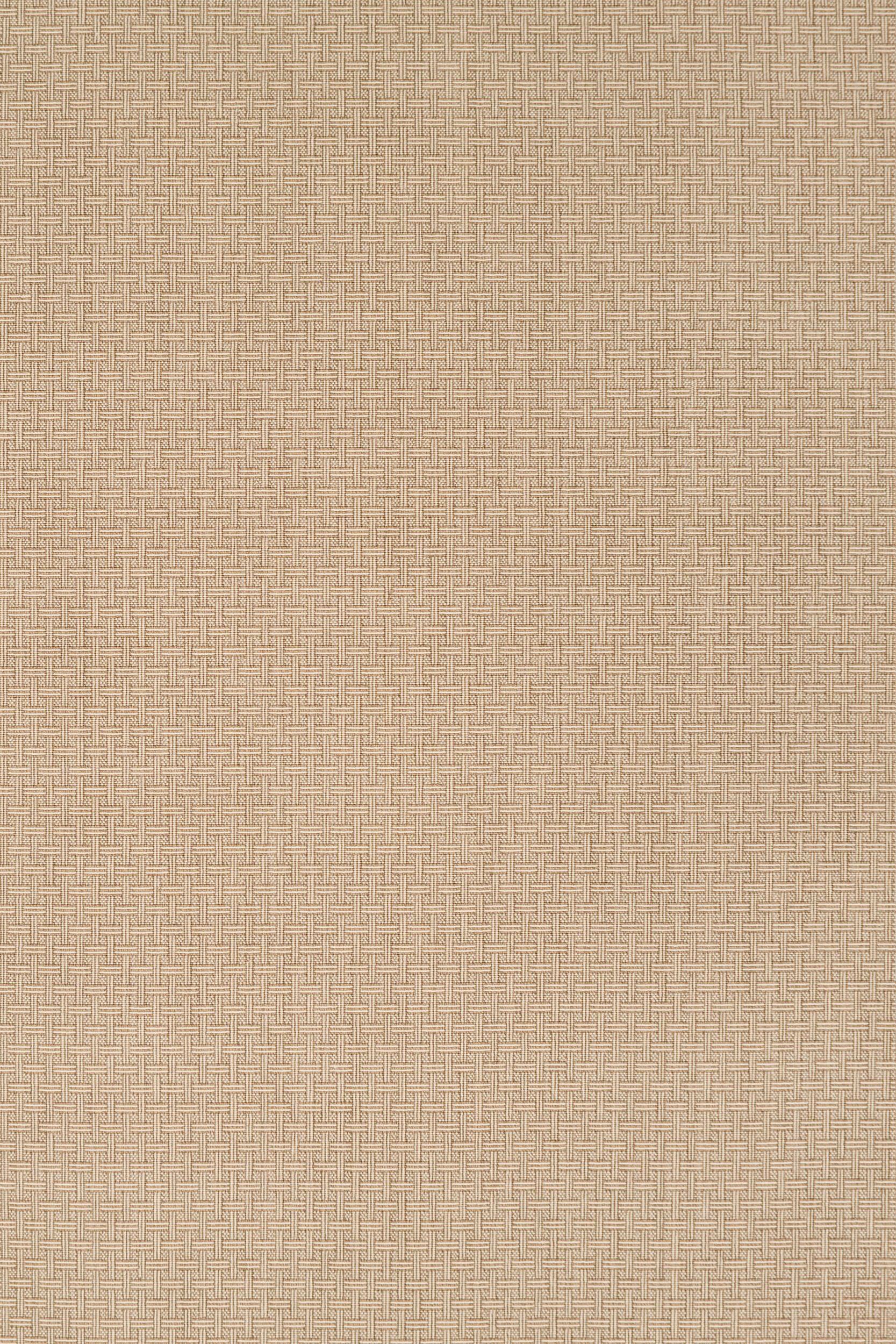 #color_Bisque