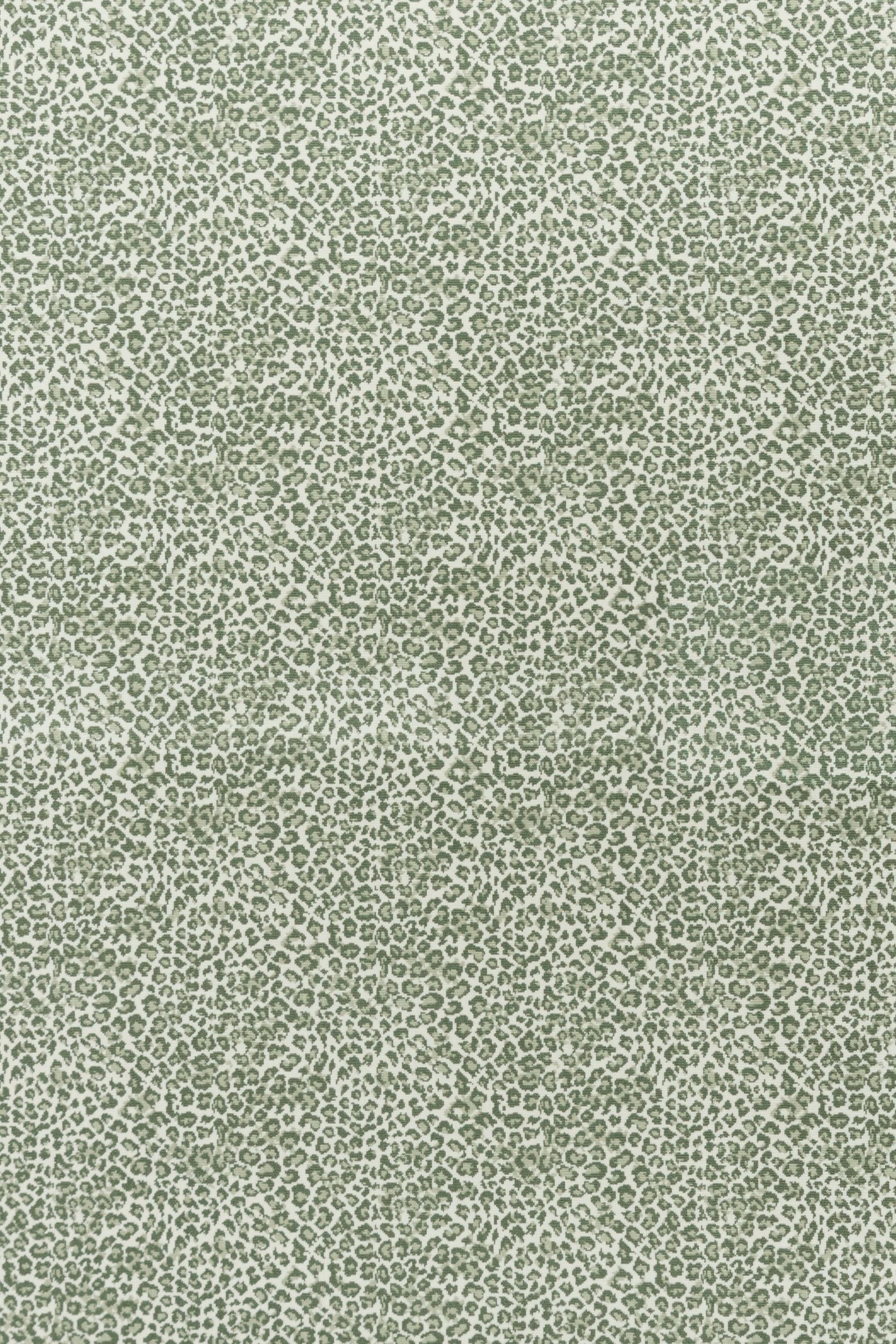 #color_Grass