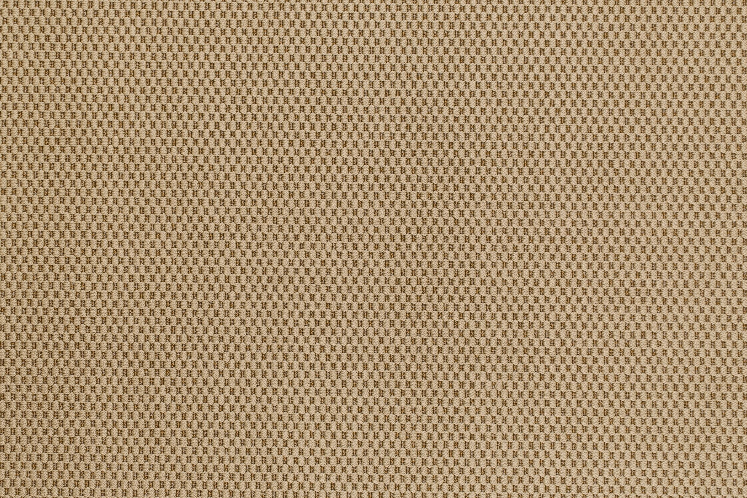 #color_Shell