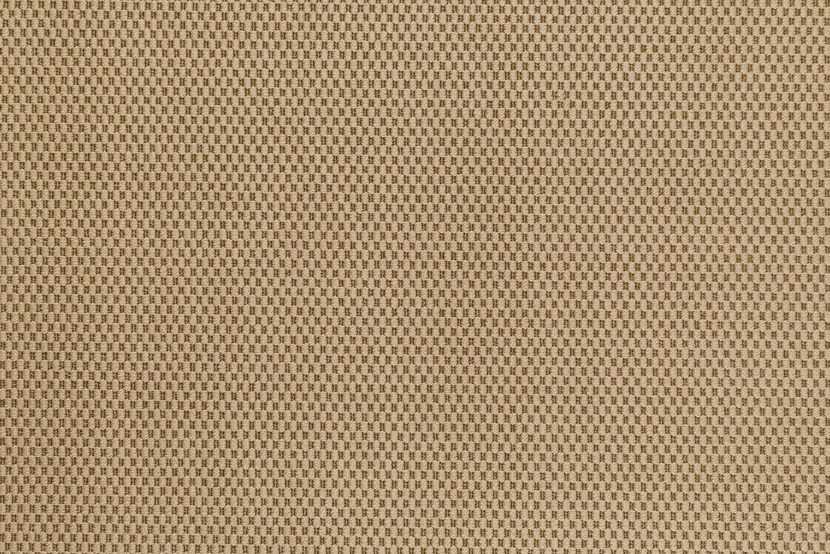 #color_Shell