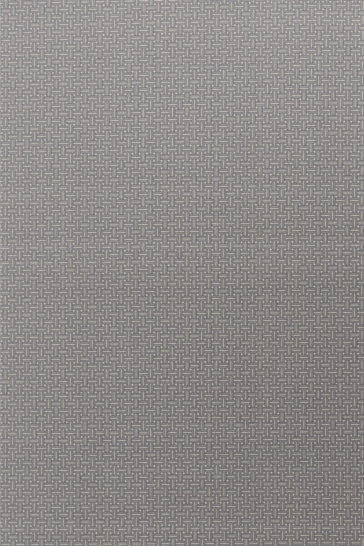 #color_Silverberry