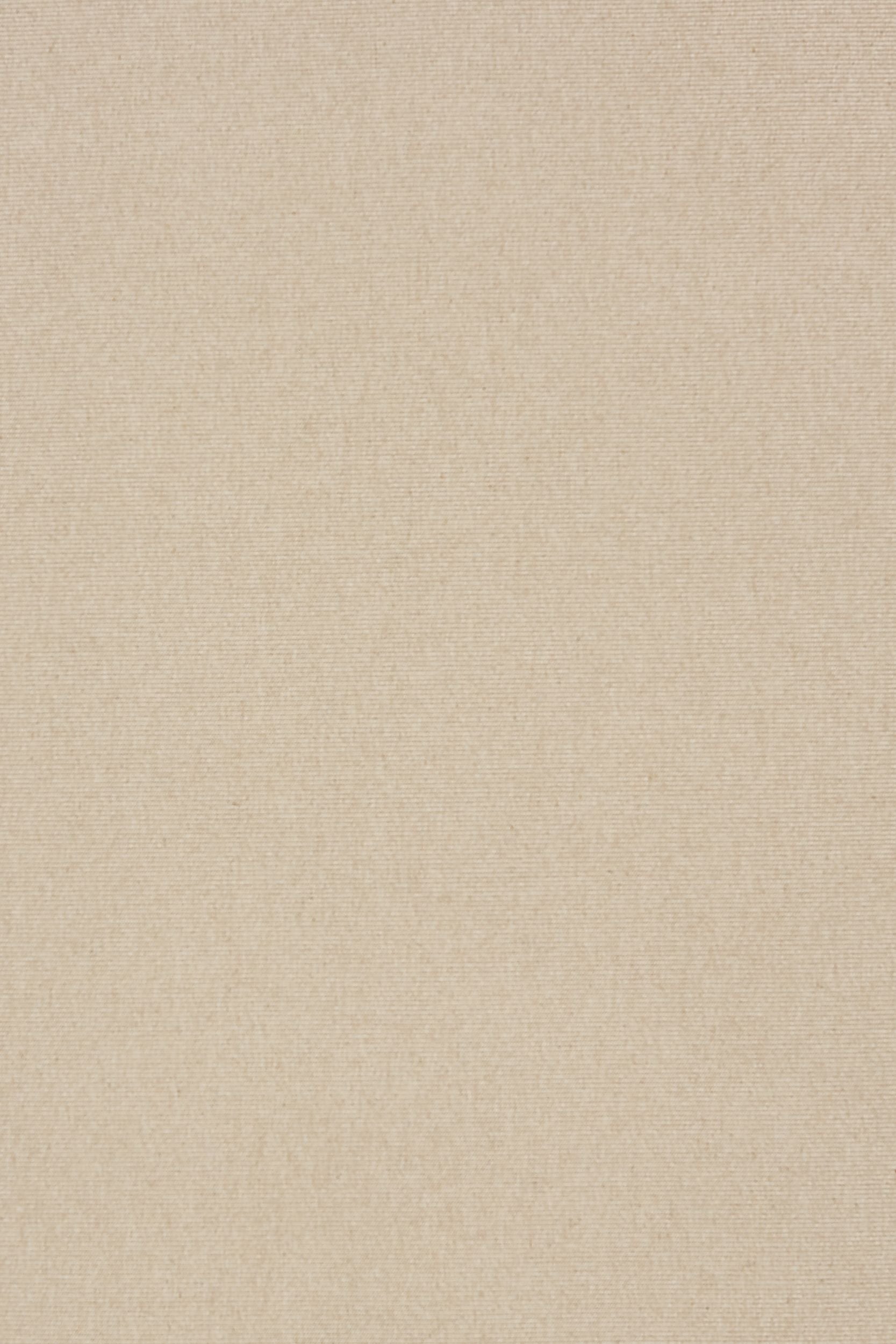 #color_Camel