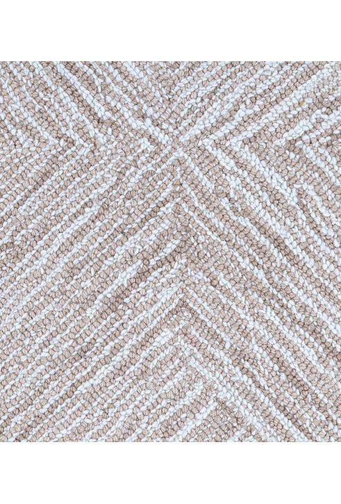 #color_Sand Dollar