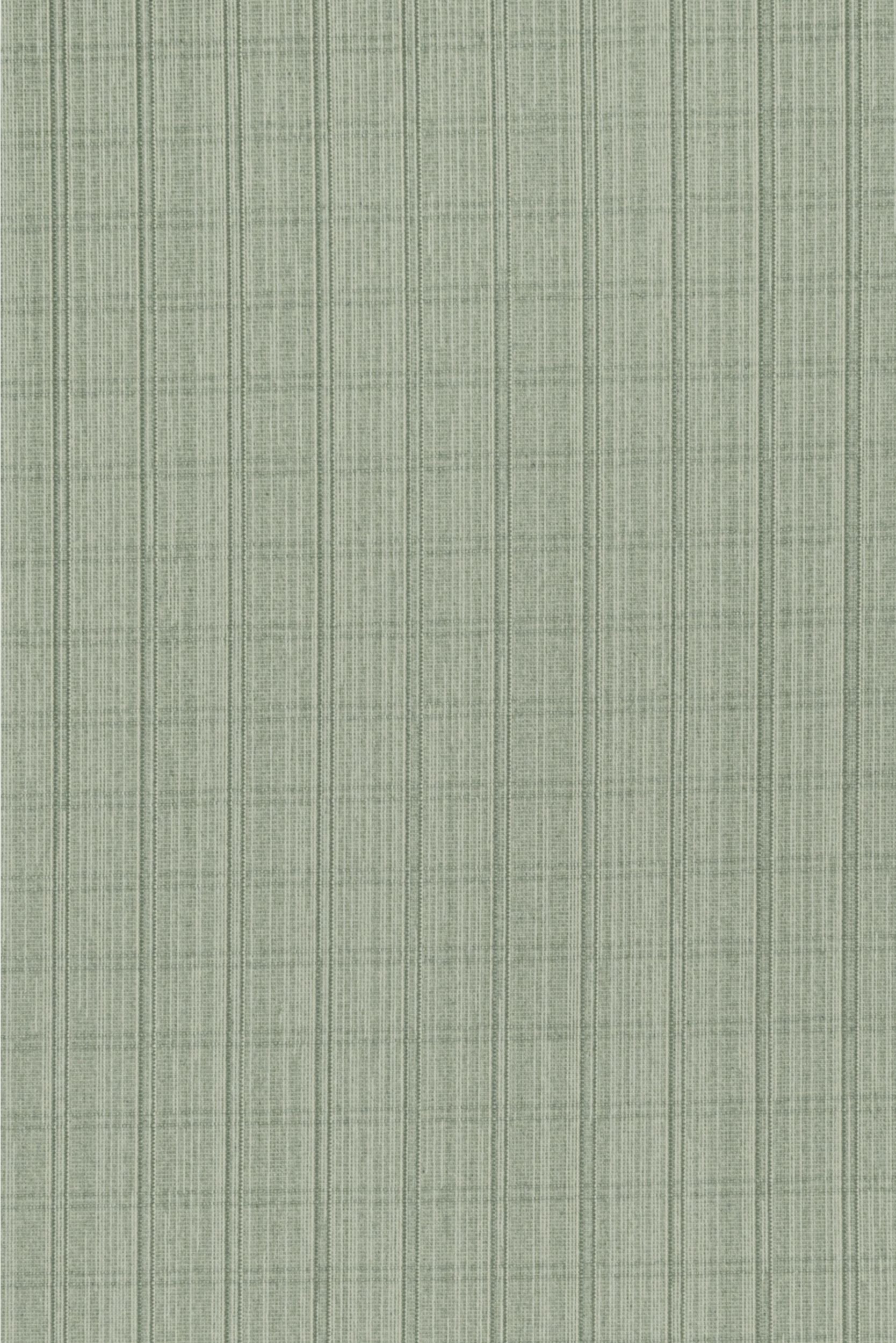 #color_Spring Green