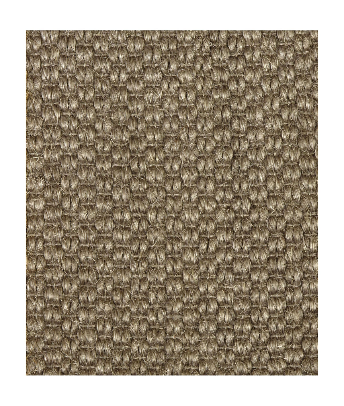 #color_Bark