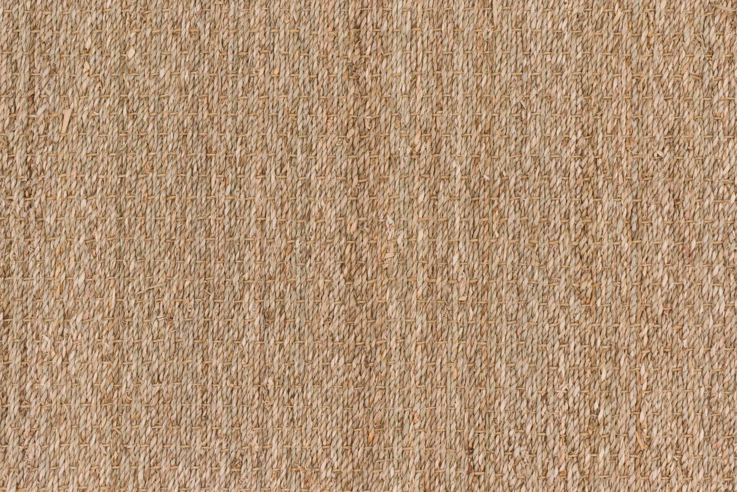 #color_Seagrass