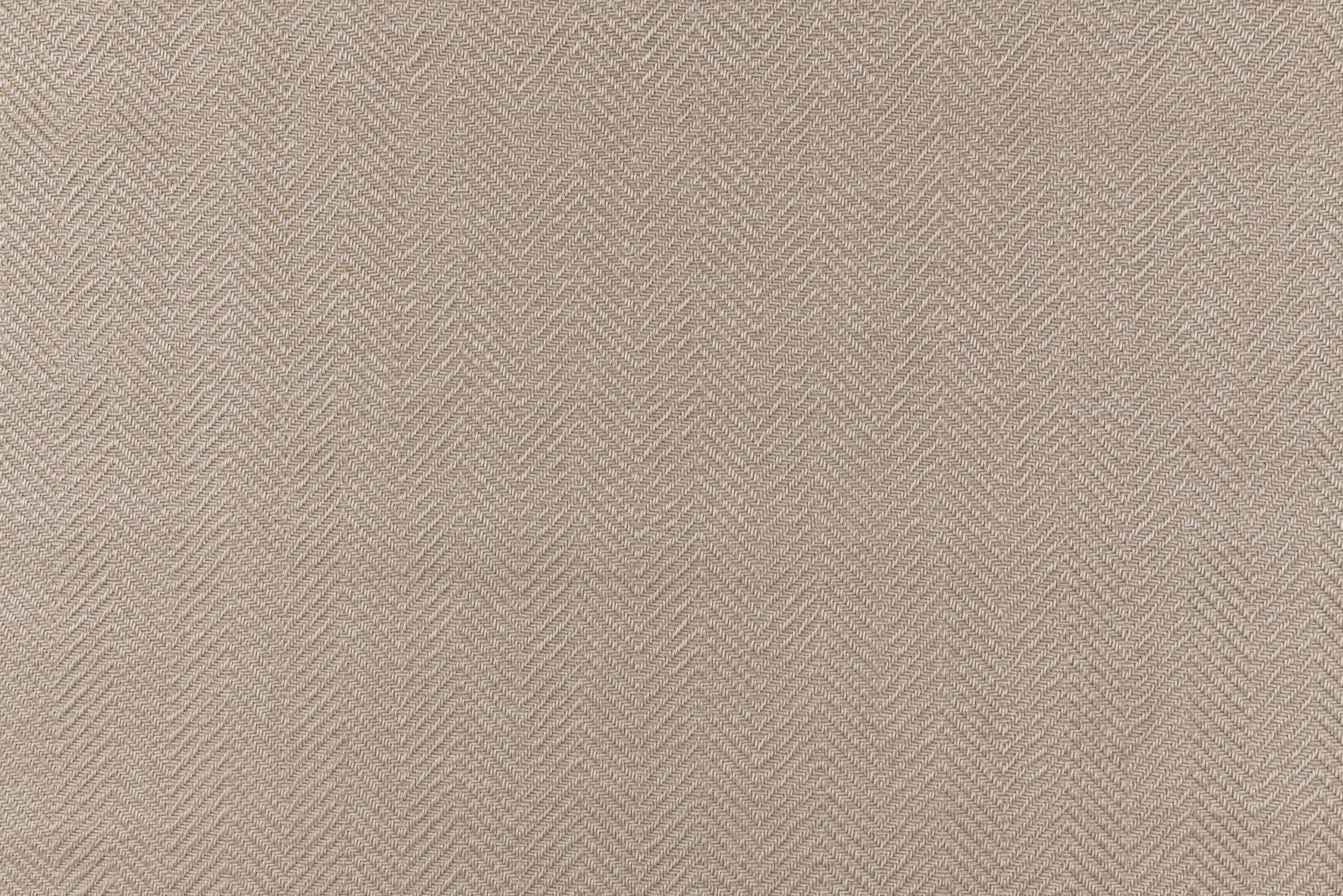 #color_Oyster