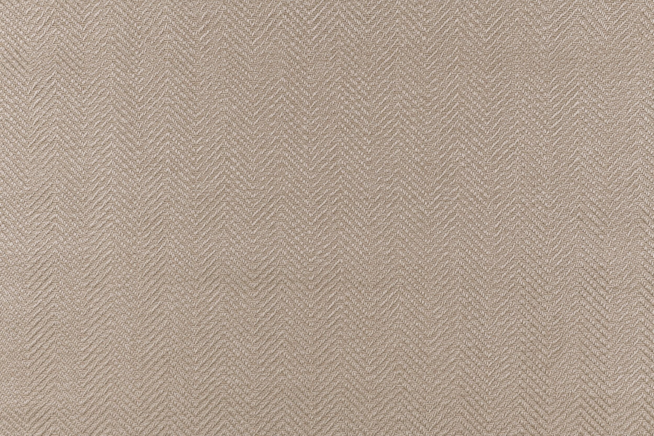 #color_Oyster