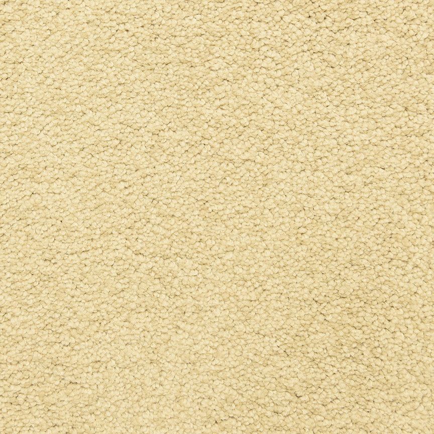 #color_Bamboo
