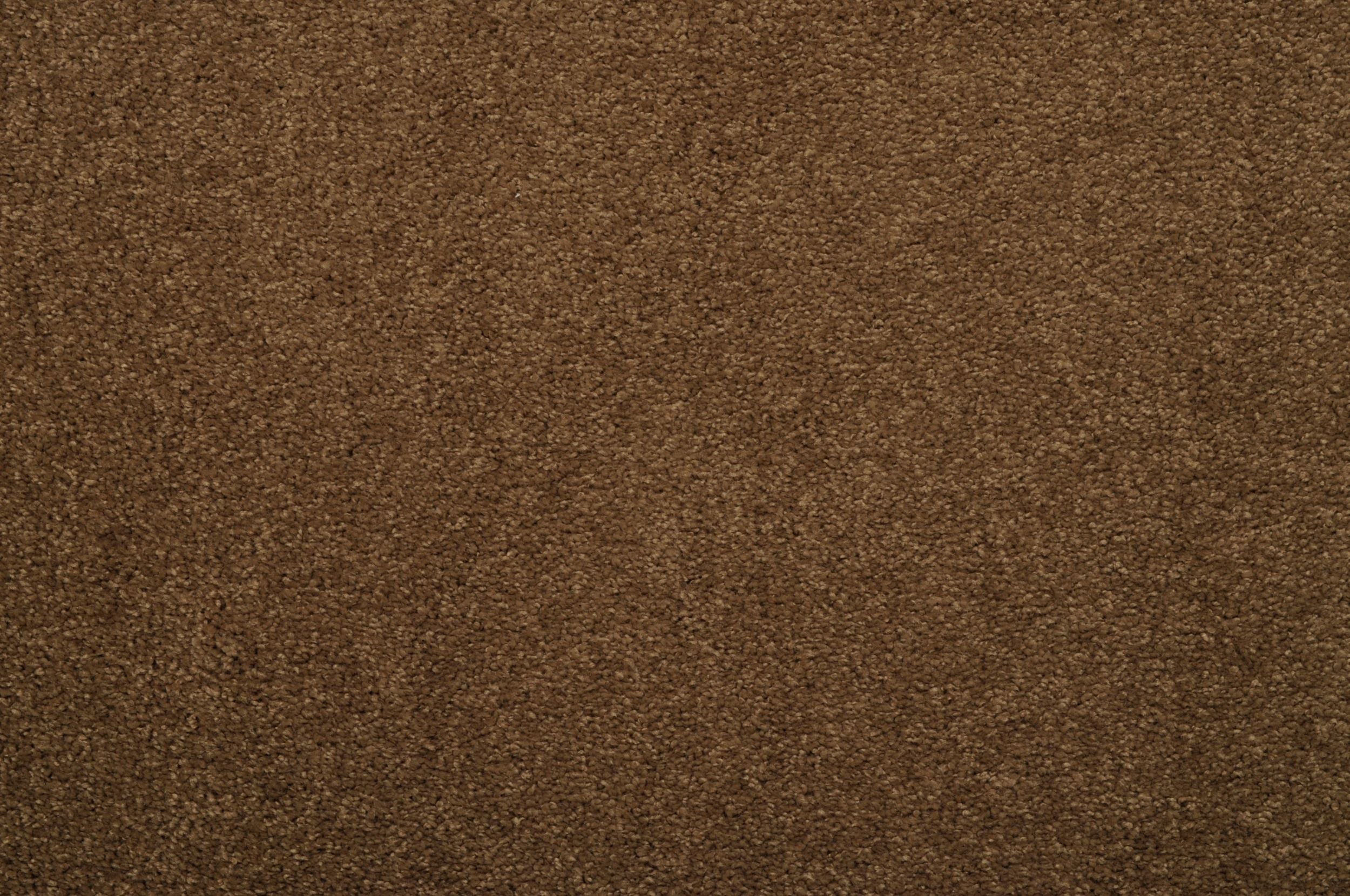 #color_Brushed Sable