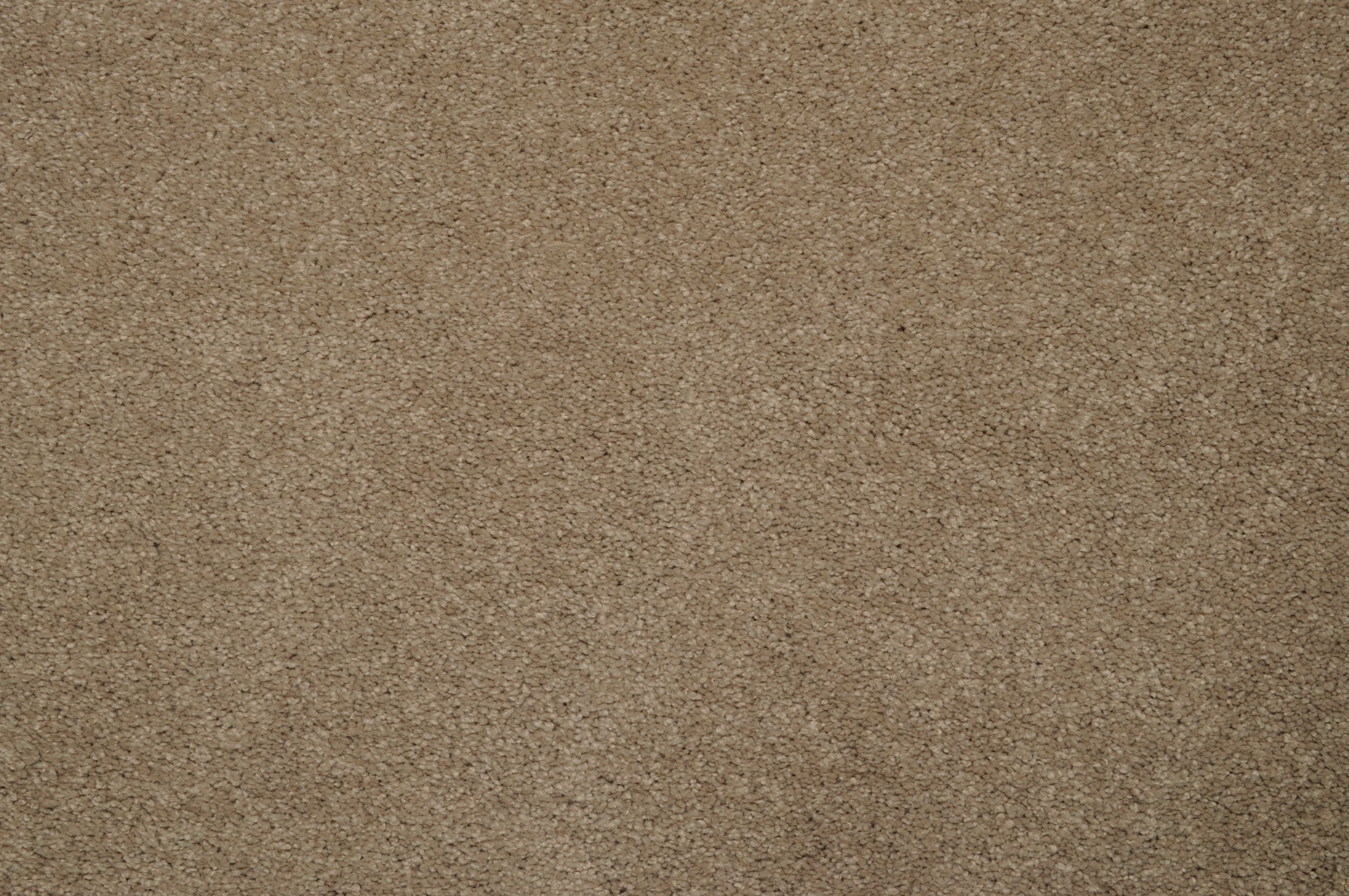 #color_Earth Stone