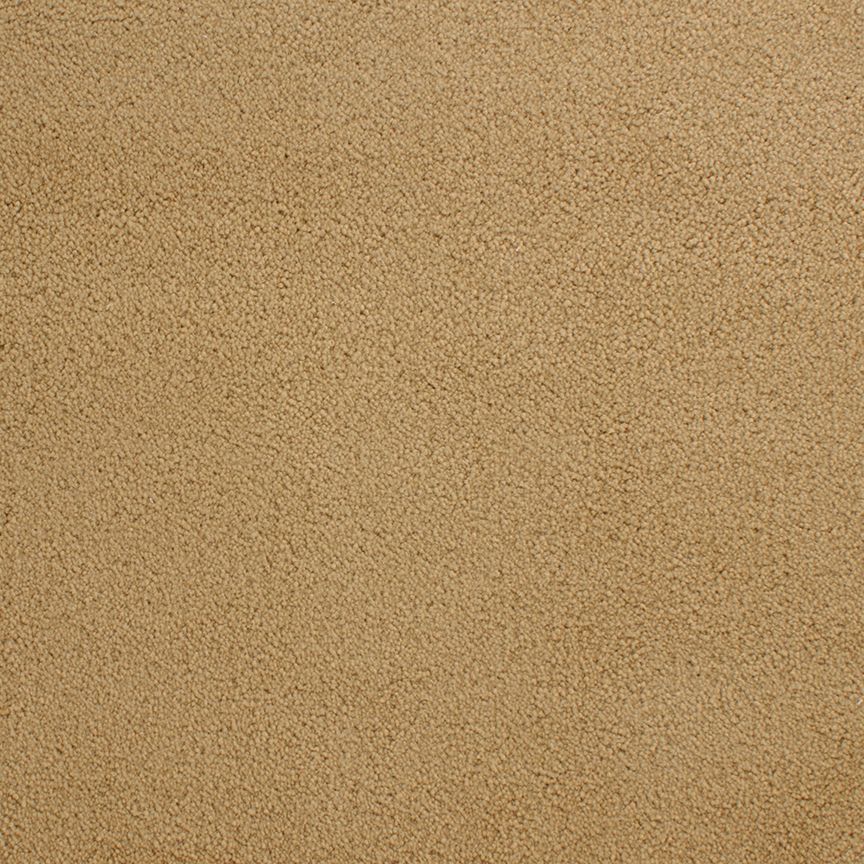 #color_Mustard Seed