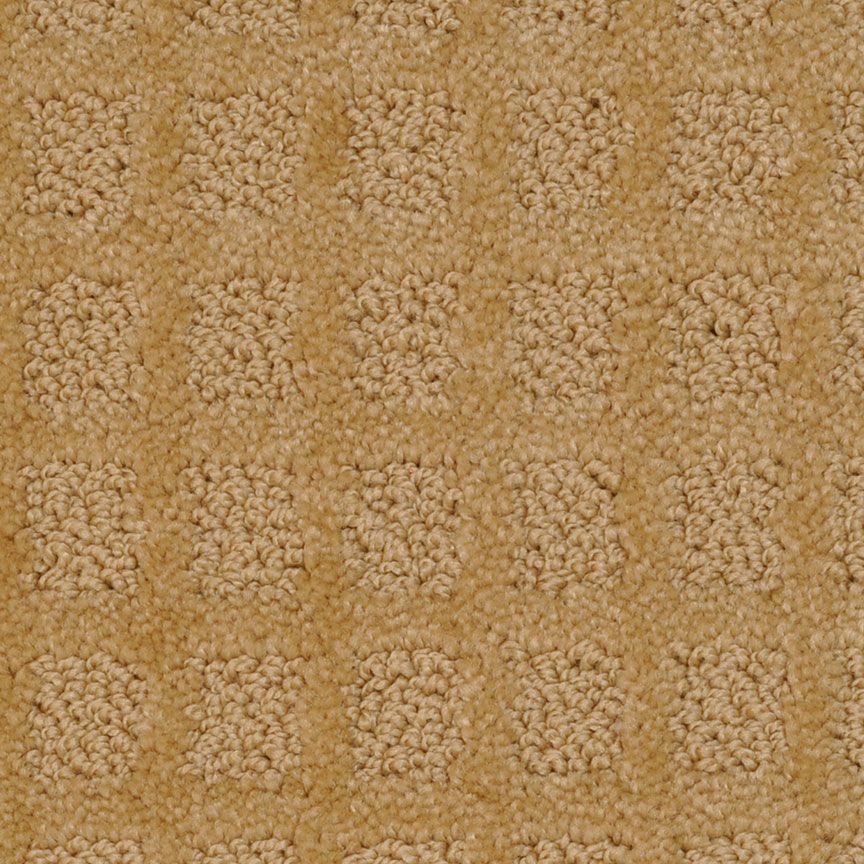 #color_Ochre