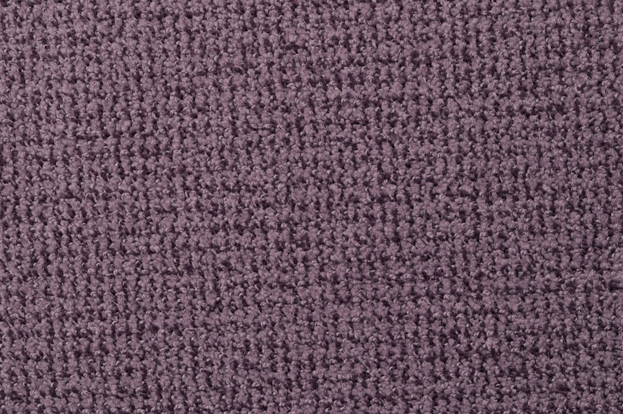 #color_Plum