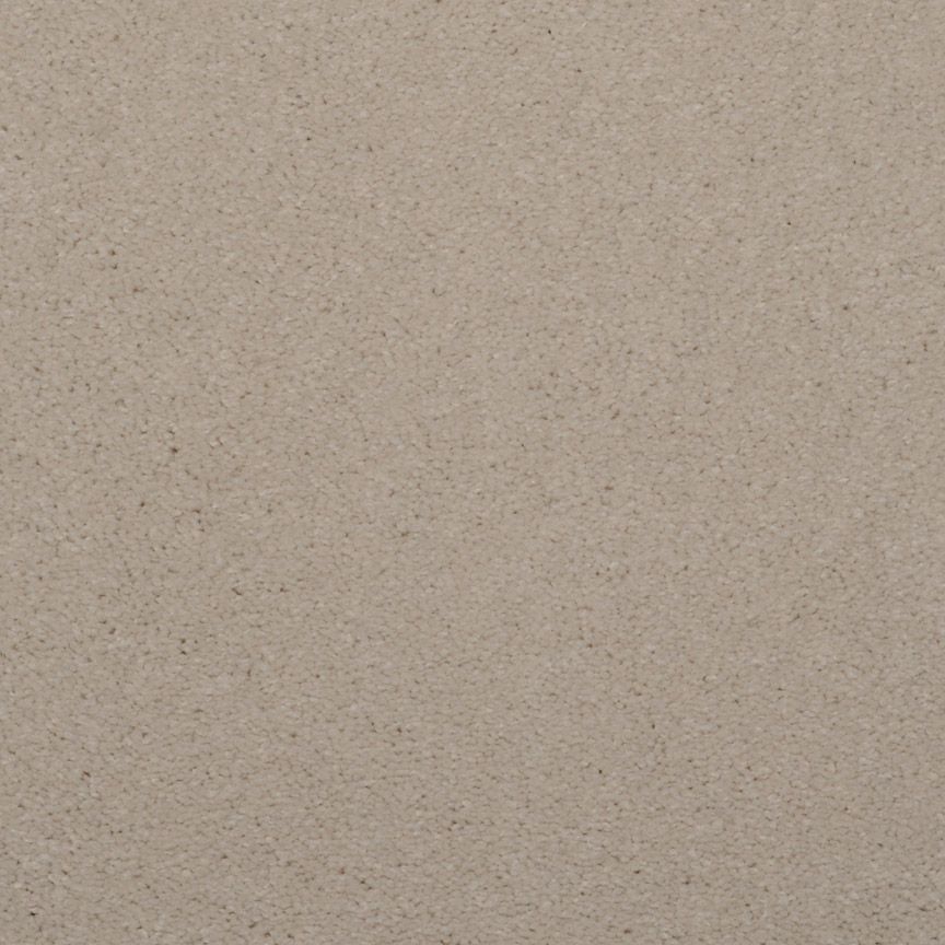 #color_Sand Dollar