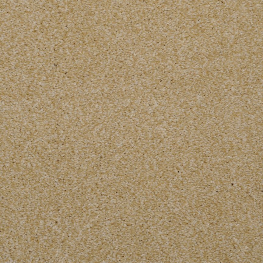 #color_Sand Dune