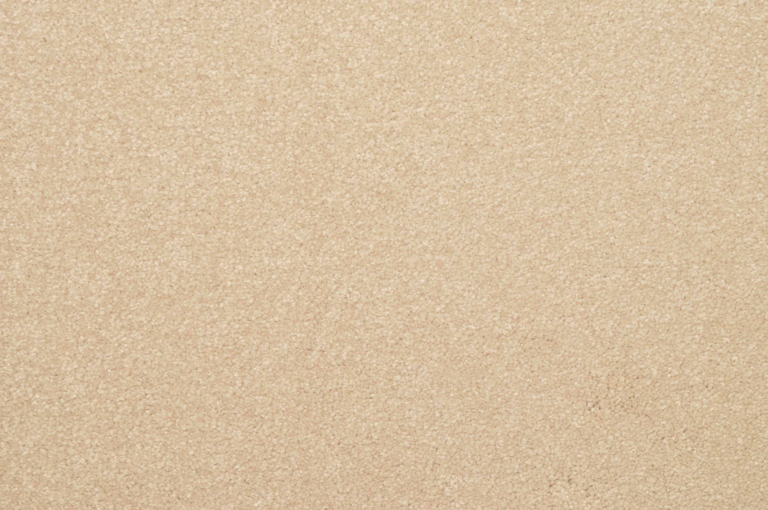 #color_Sesame Seed