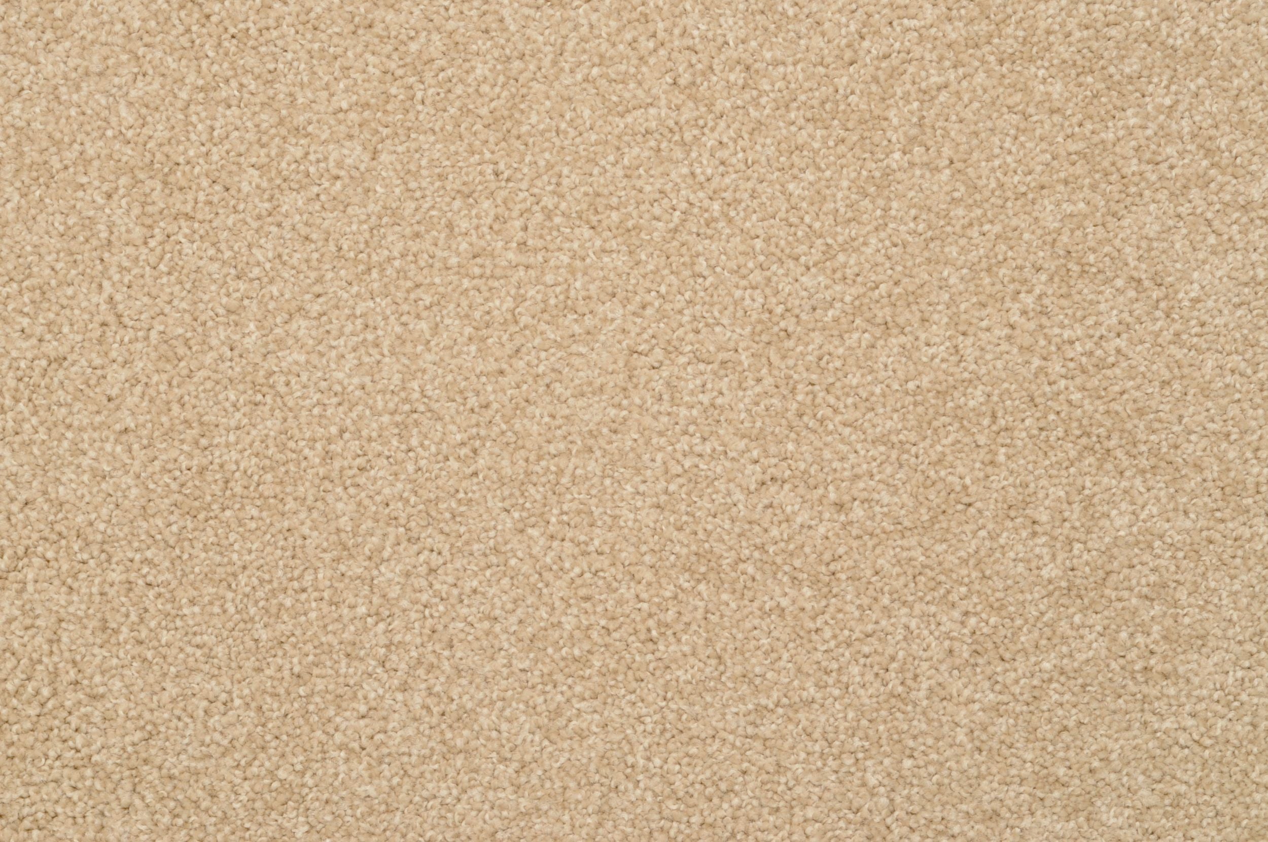 #color_Suede