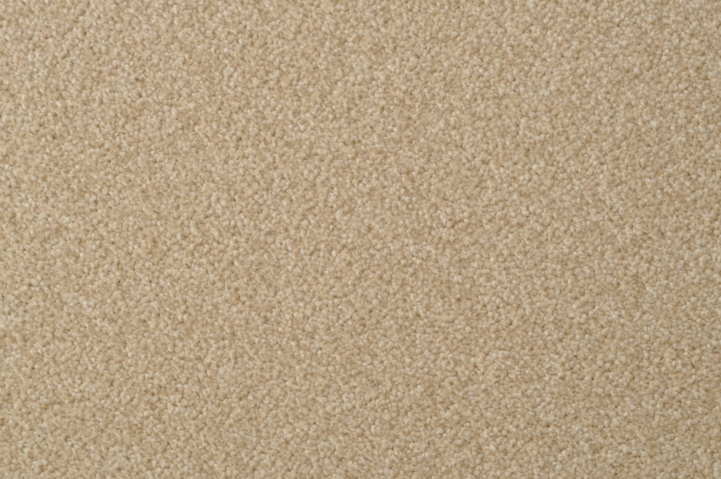 #color_Suede