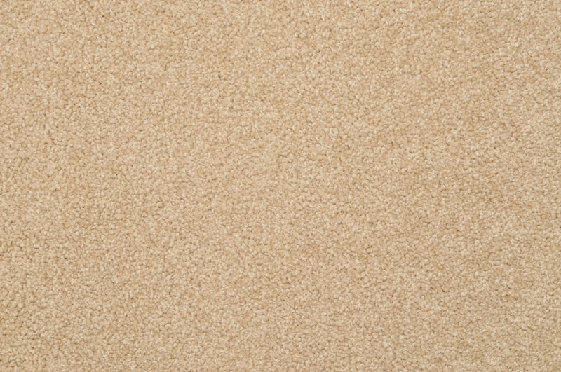 #color_Suede