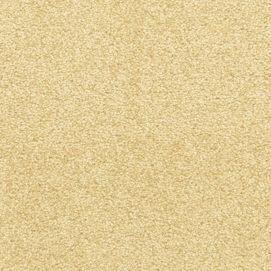 #color_Suede