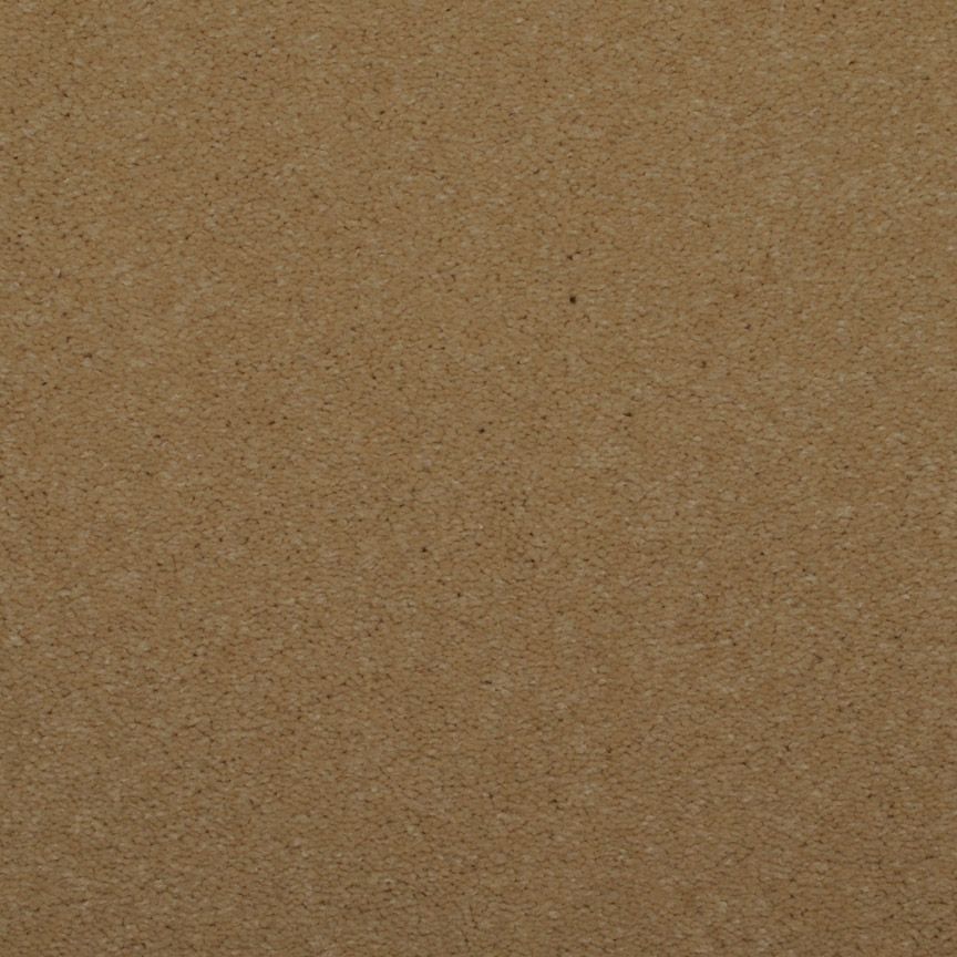 #color_Rich Cream