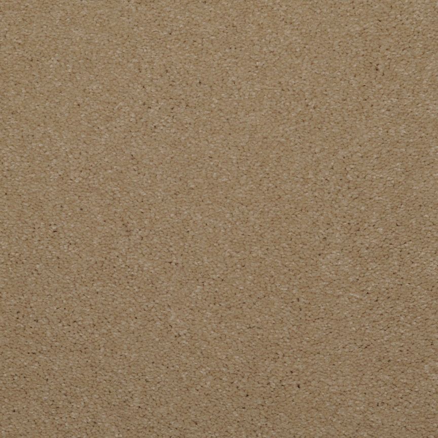 #color_Roasted Almond