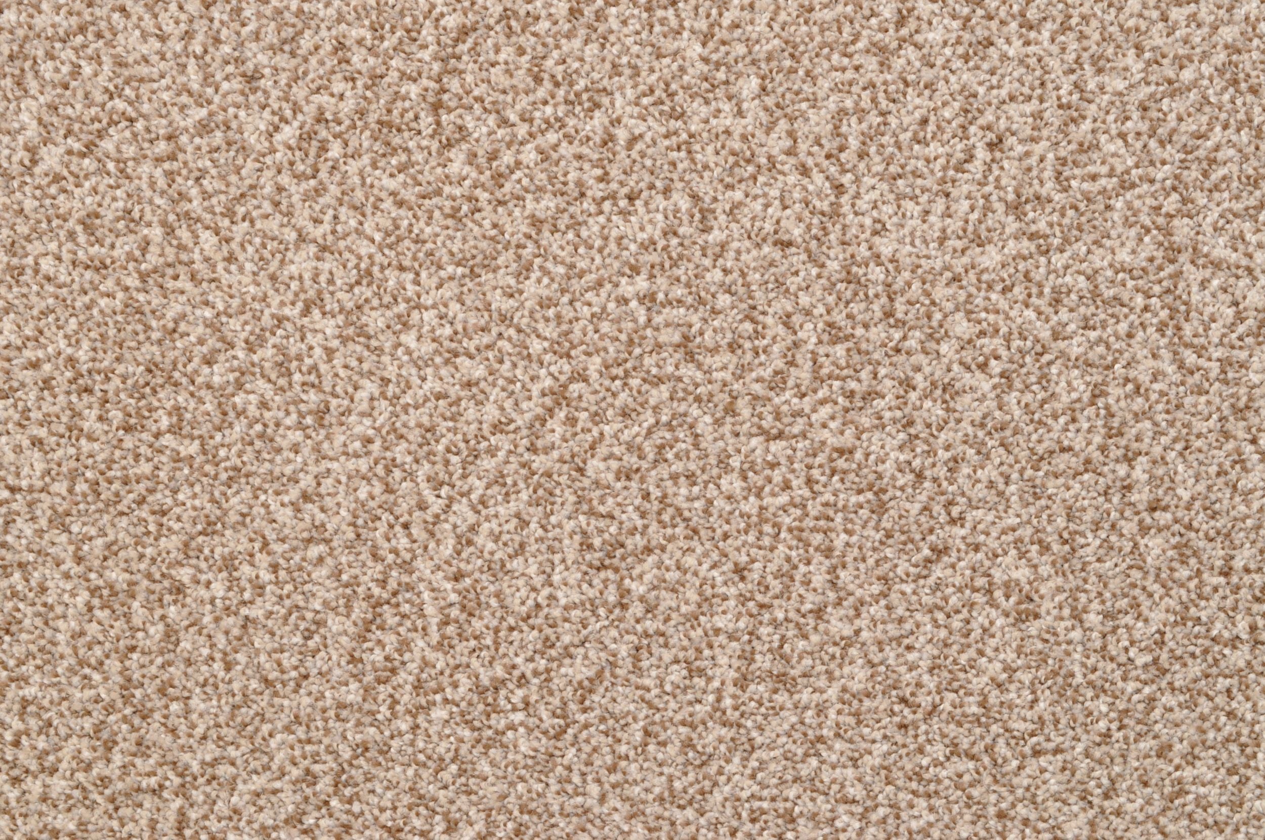 #color_Dorion Tweed