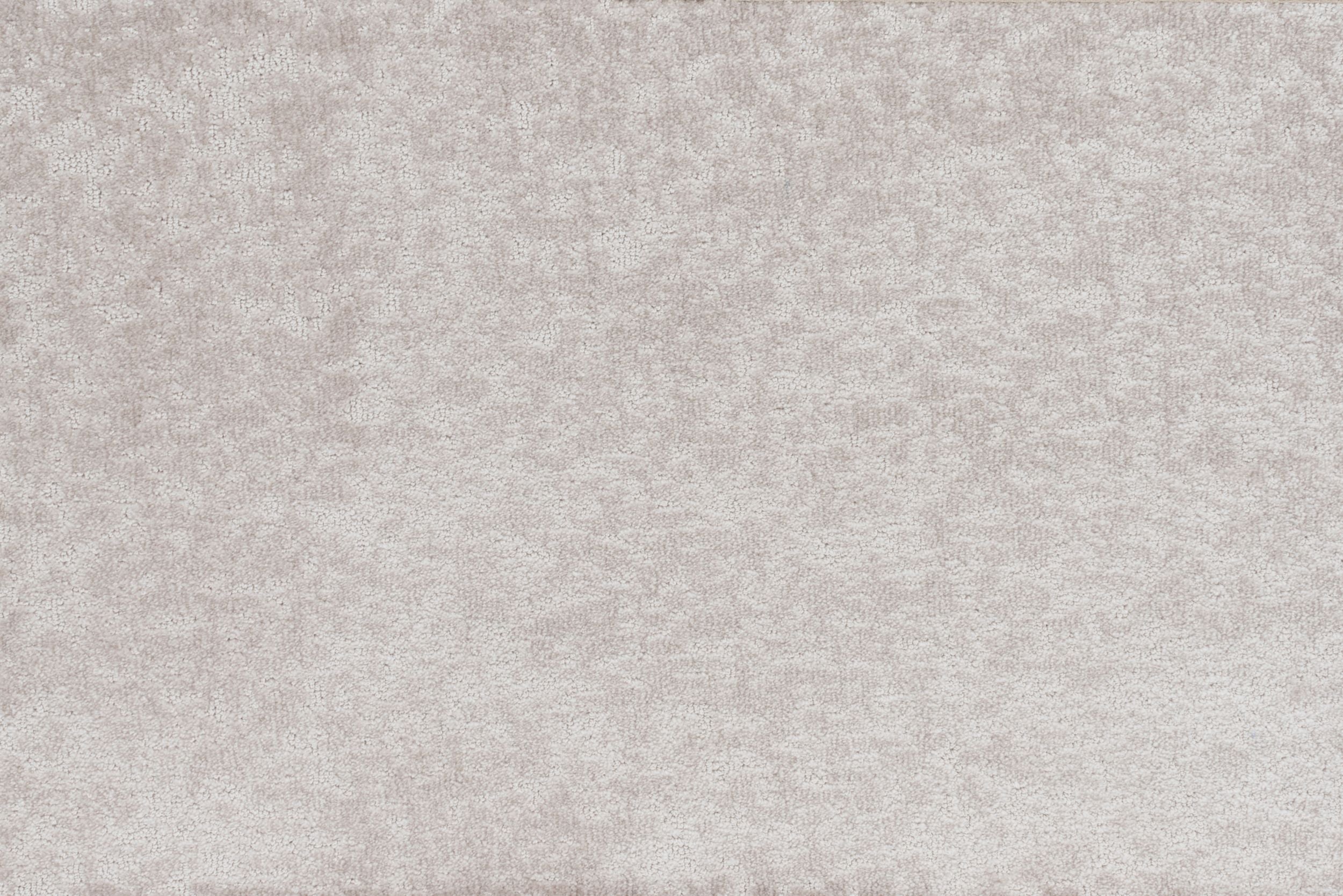 #color_Cream