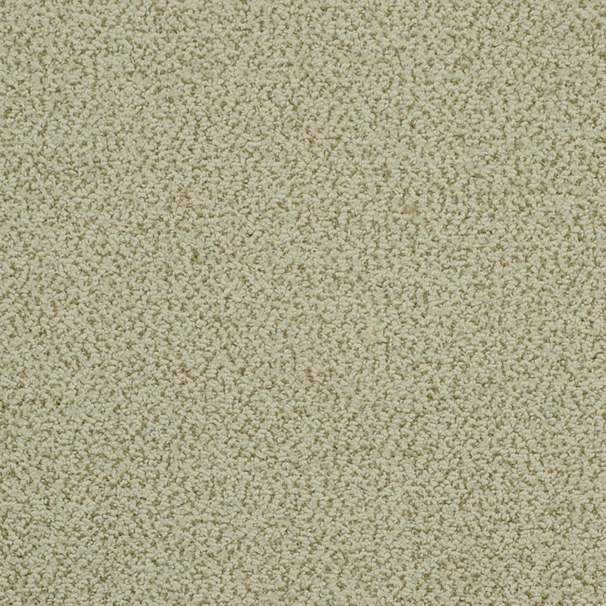 #color_Glade