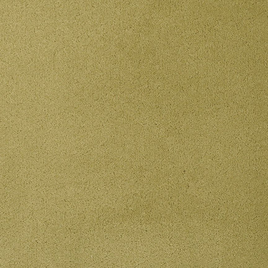 #color_Green Olive