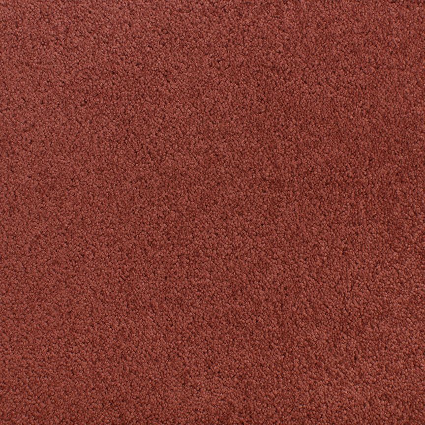 #color_Woodrose