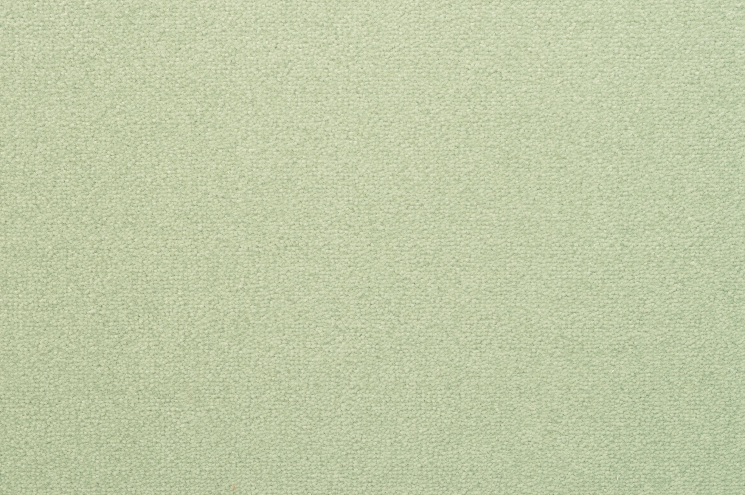 #color_Fern Mist