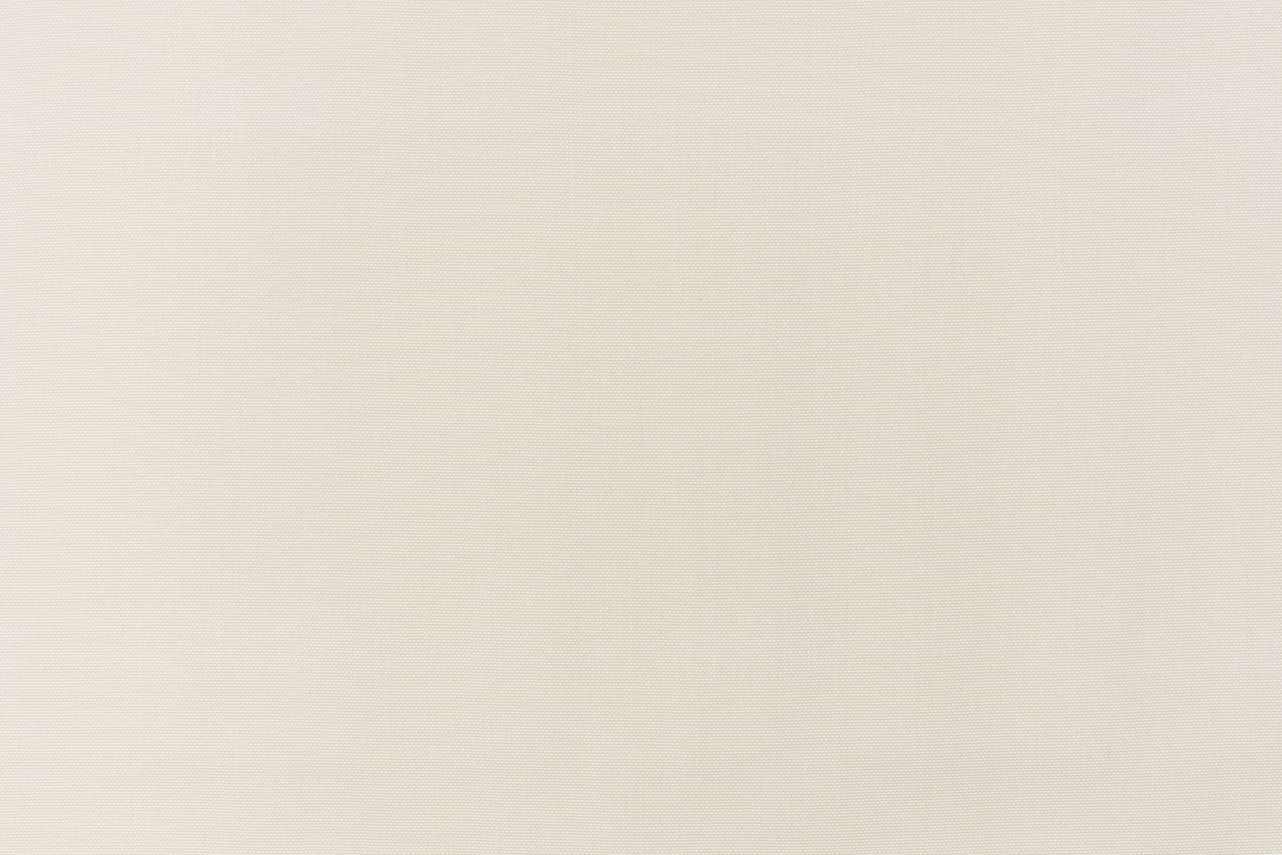 #color_White Lily