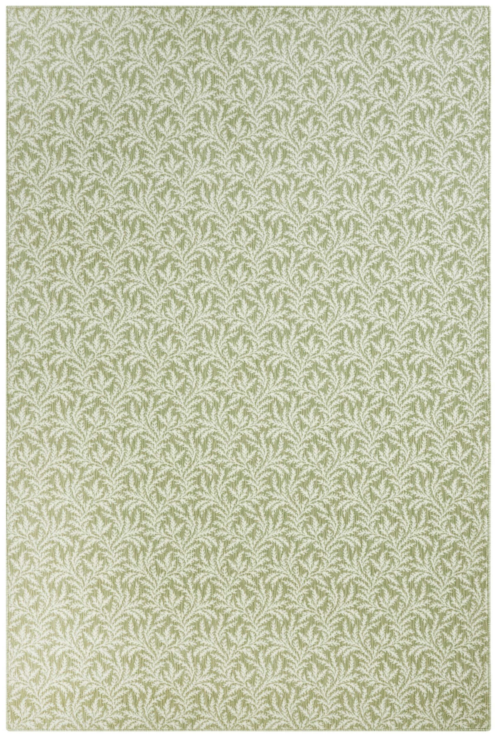 #color_Lichen
