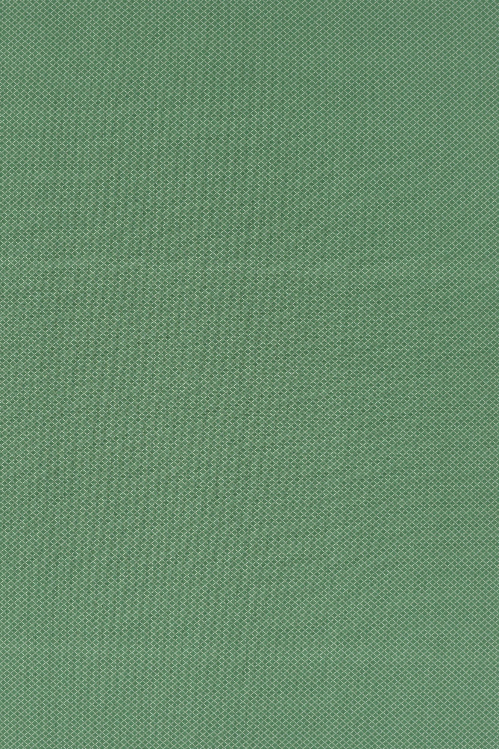#color_Iris Green