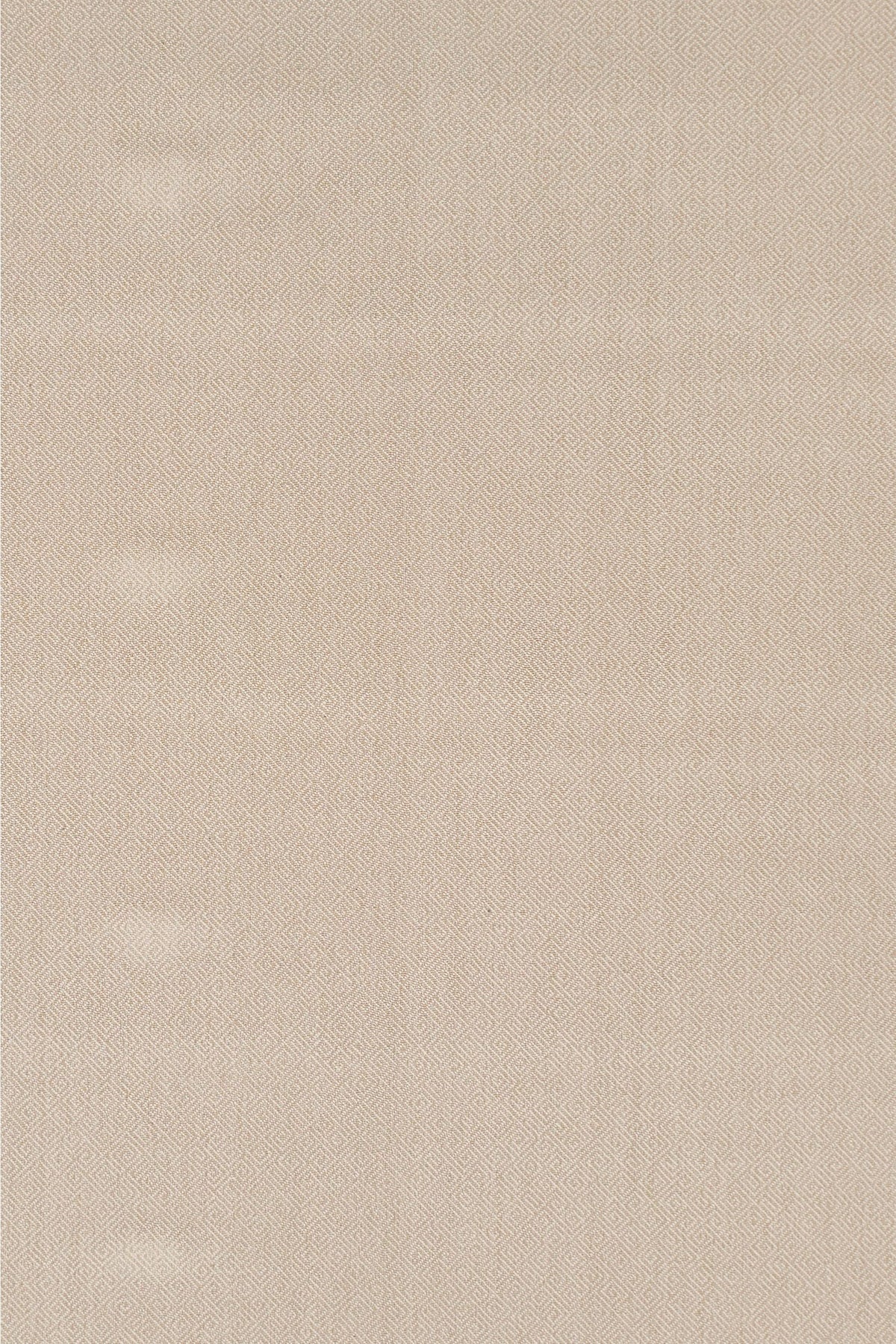 #color_Truffle 2