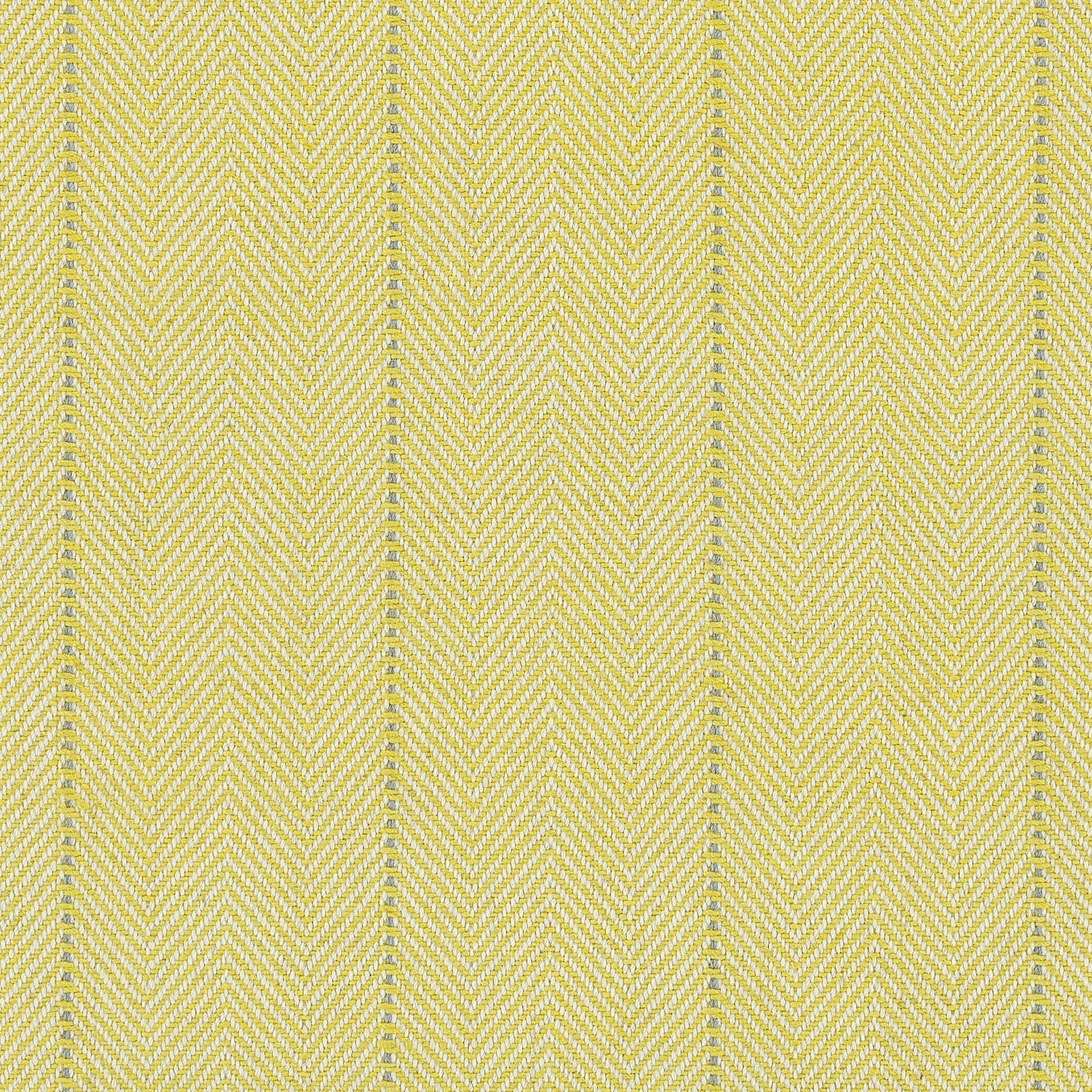 #color_Maize