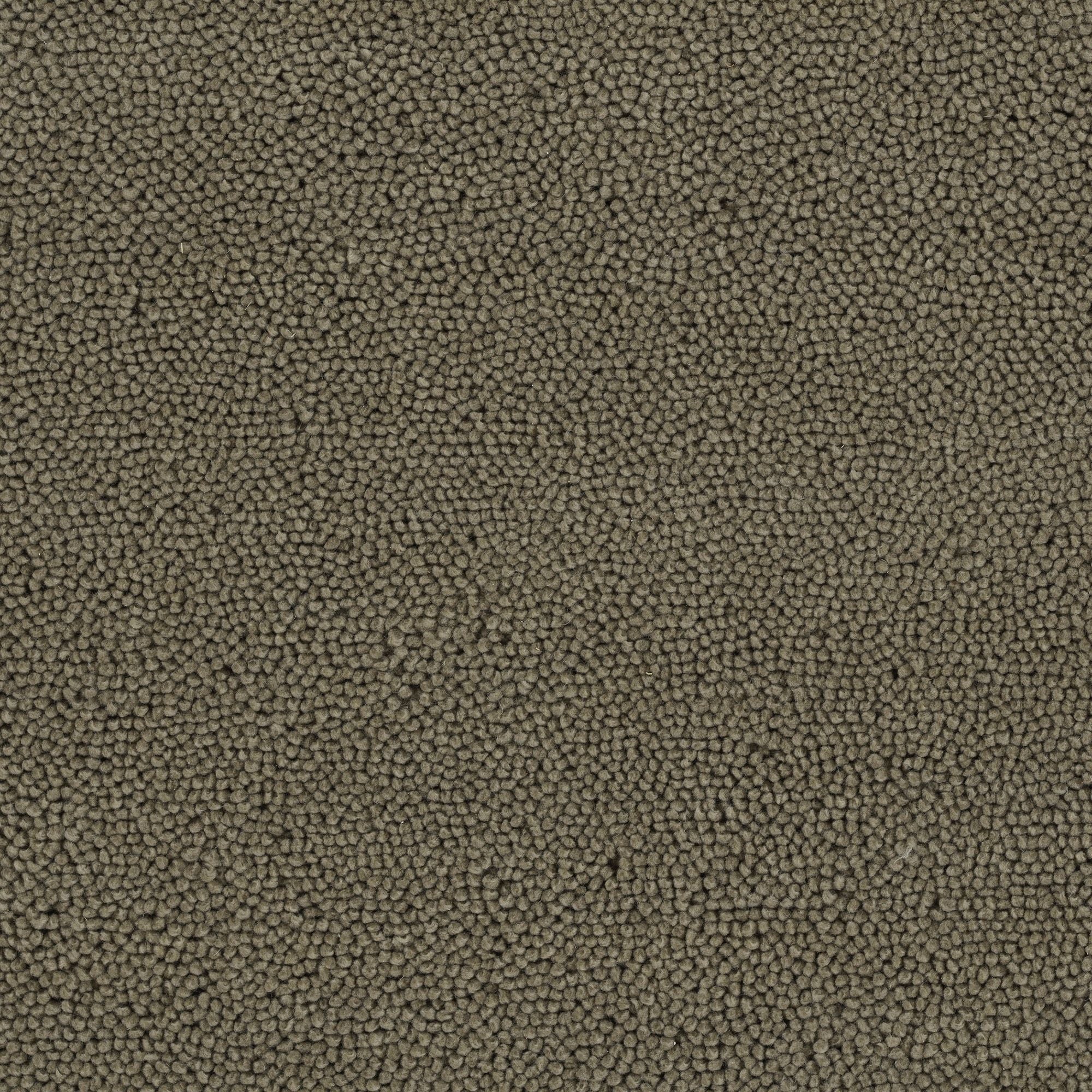 #color_Earthtone