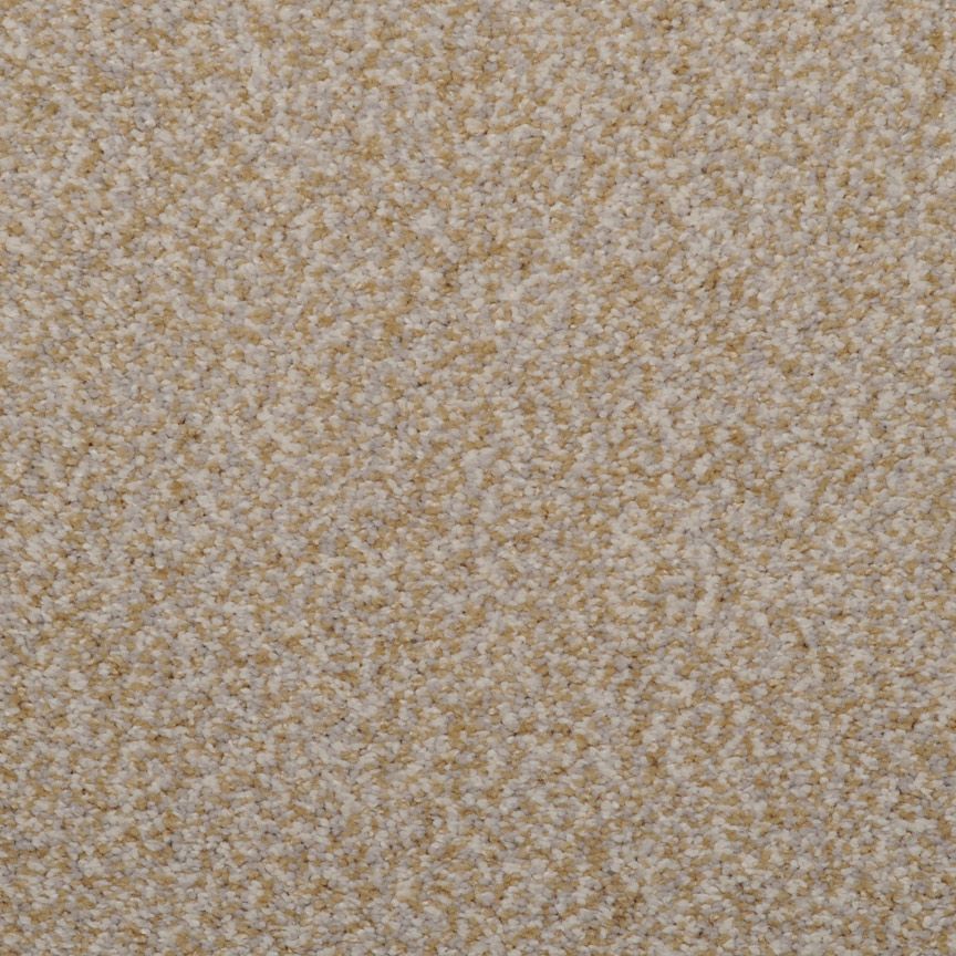 #color_Shellstone