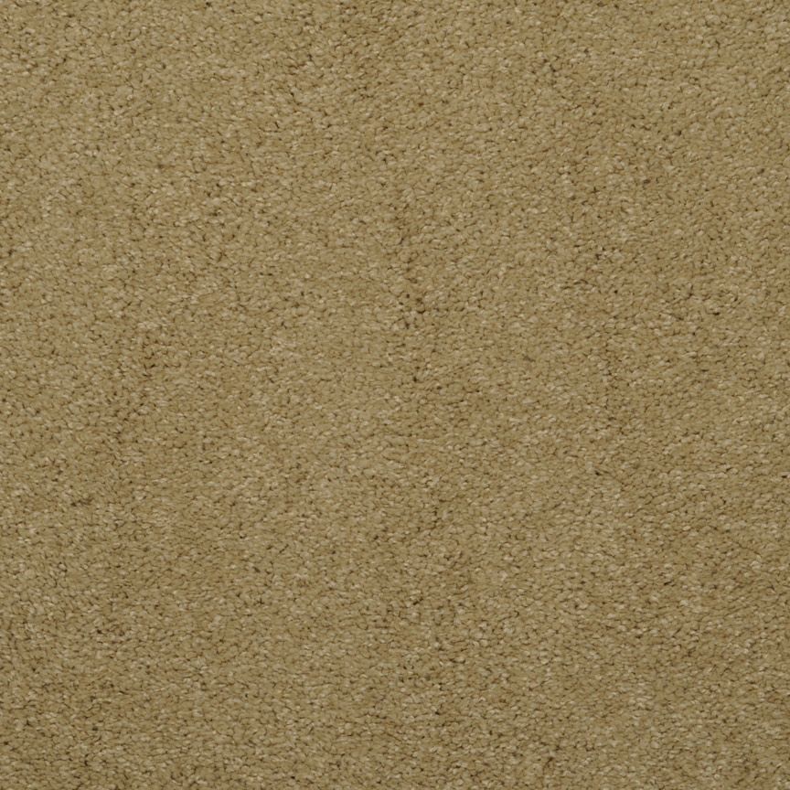 #color_Bronze Tone 341