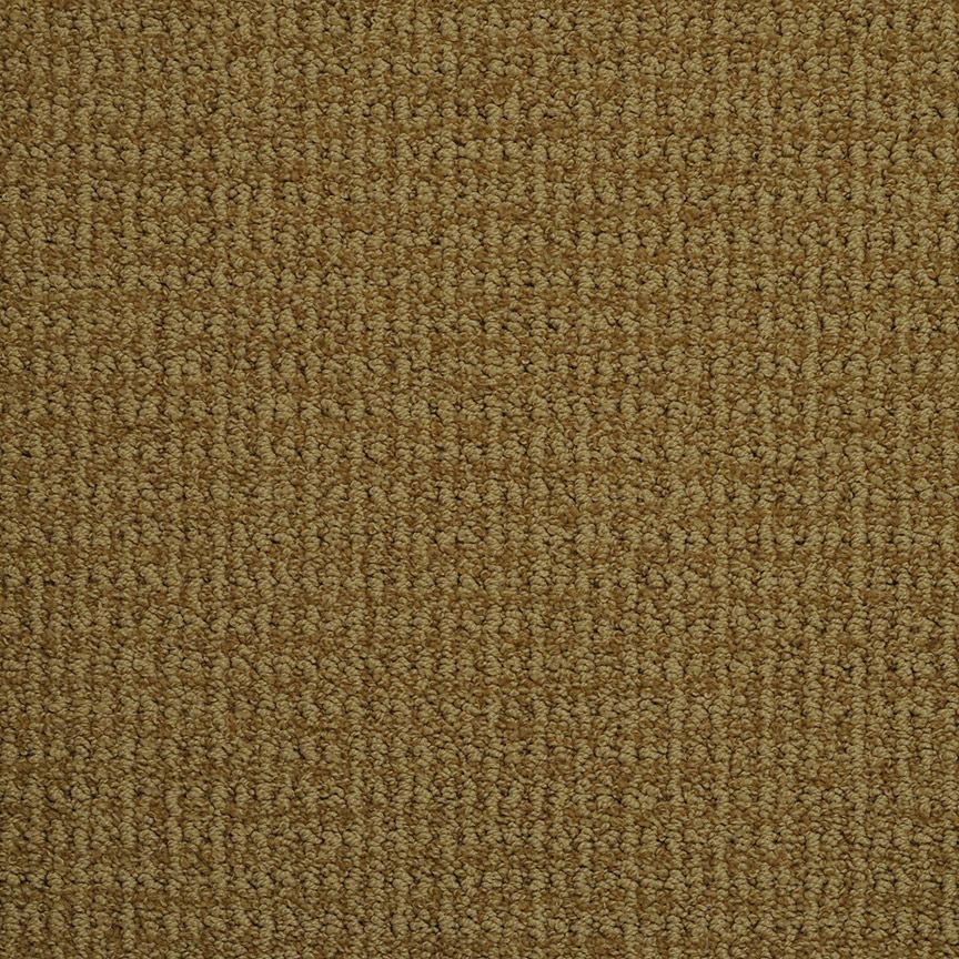 #color_Shingle