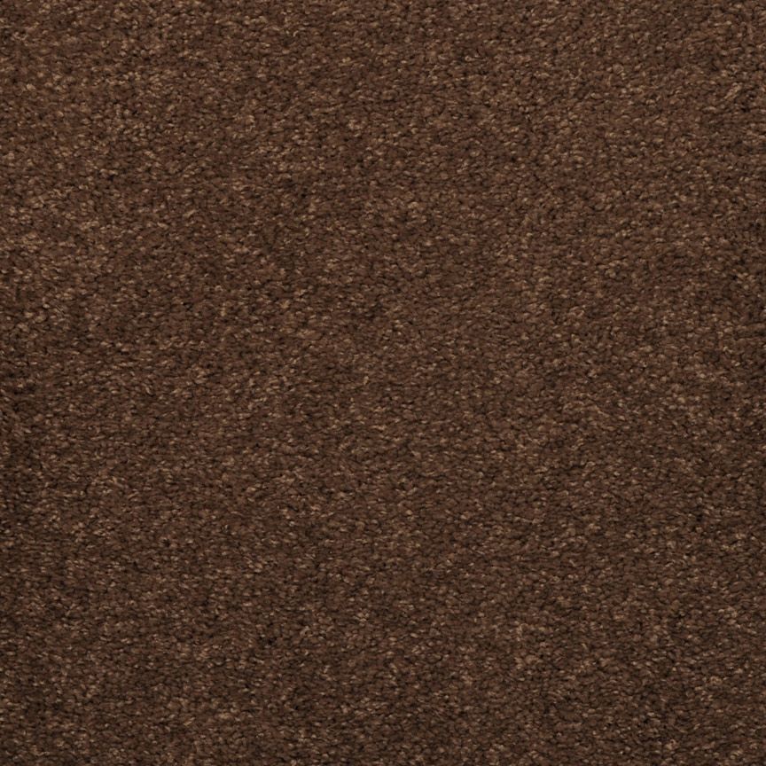 #color_Bison 734