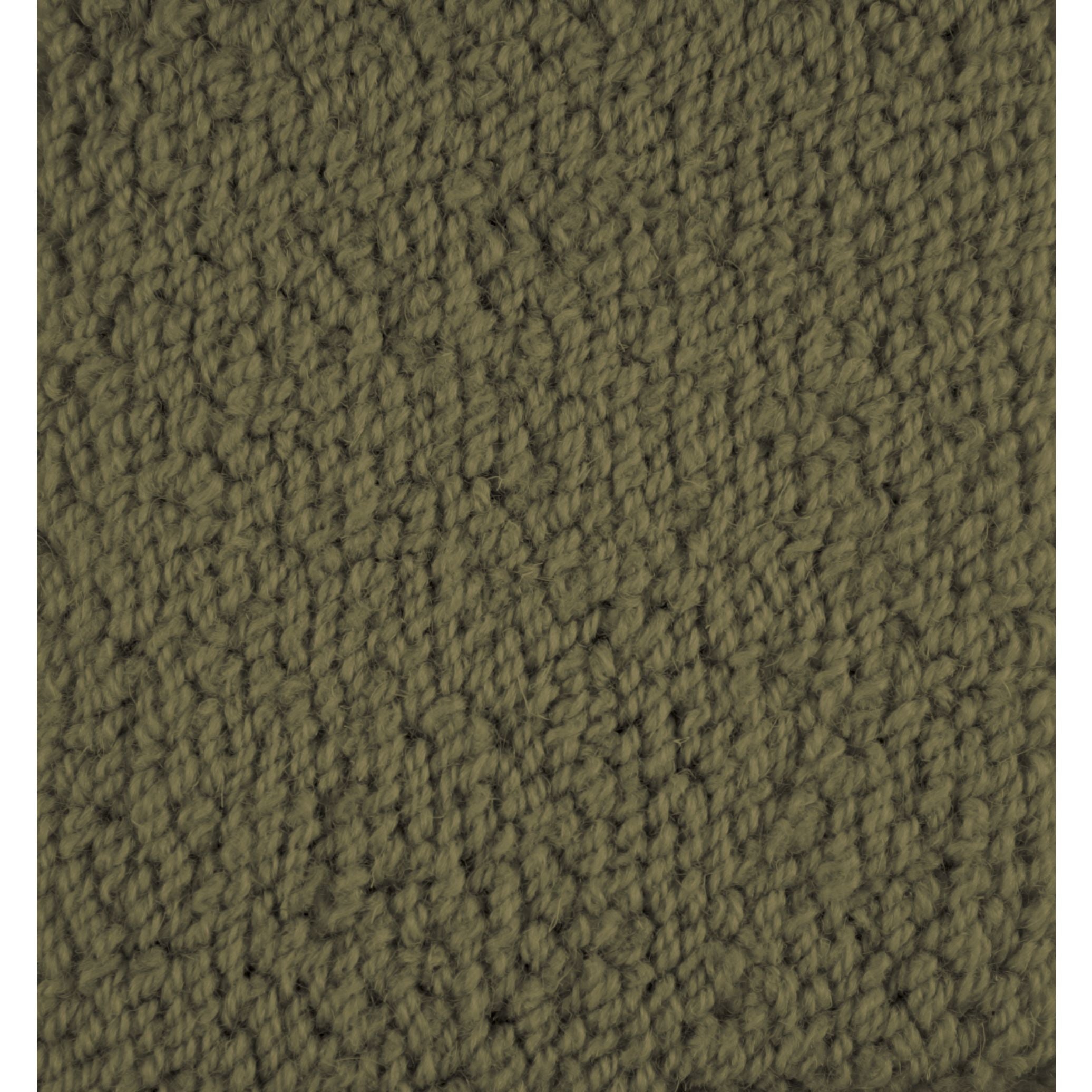 #color_Spruce