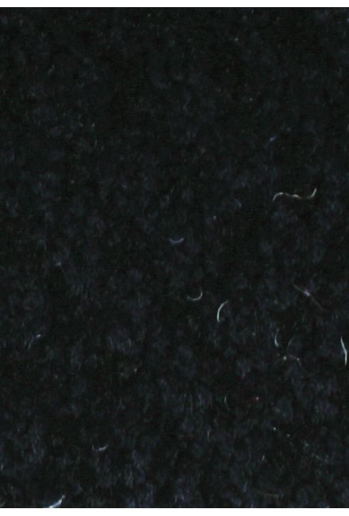 #color_Lamp Black 896