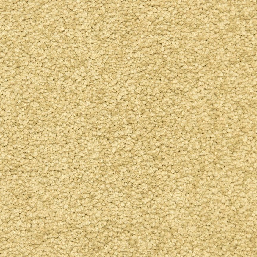 #color_Bronze