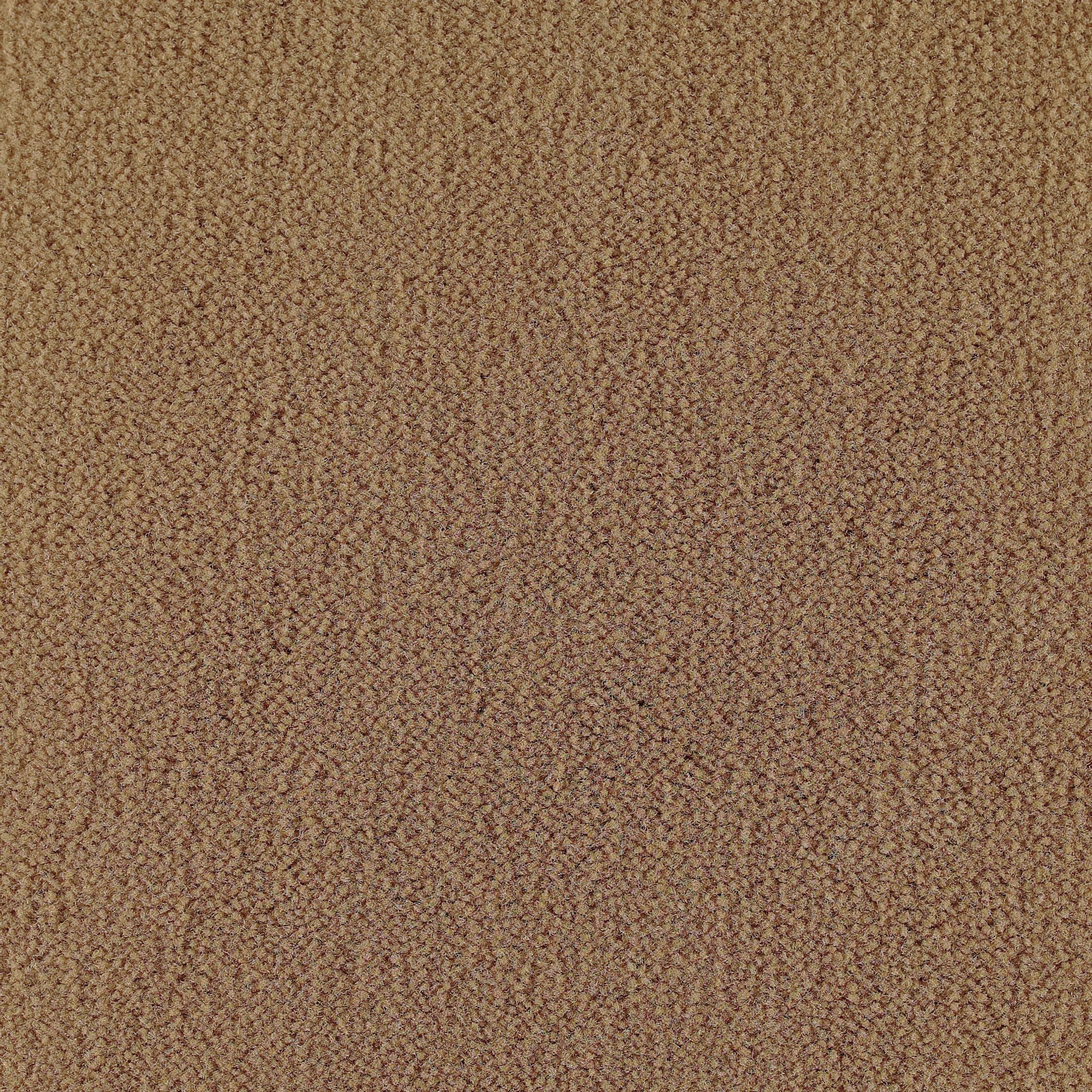 #color_Camel